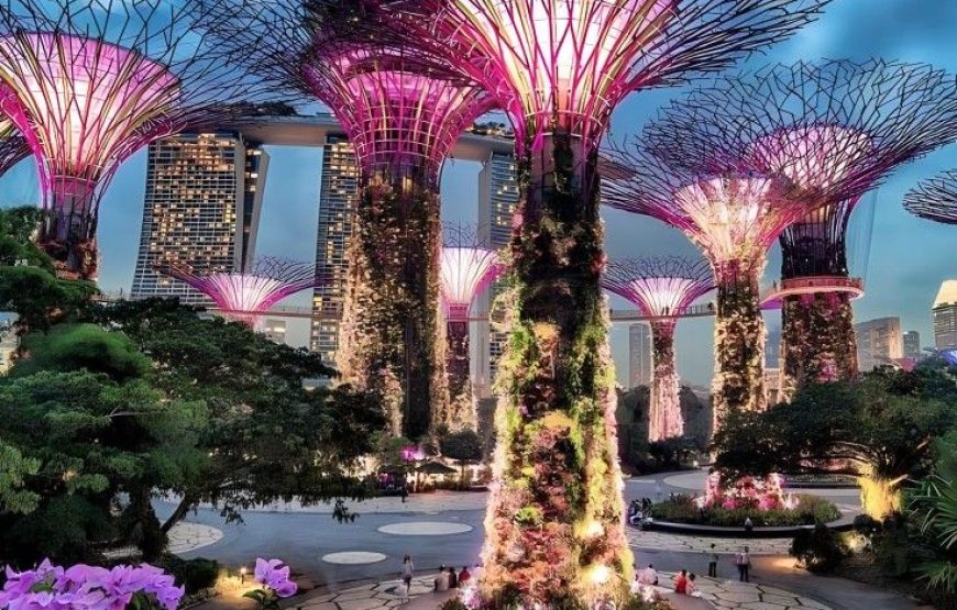 Singapore Budget Escape – Basic Package
