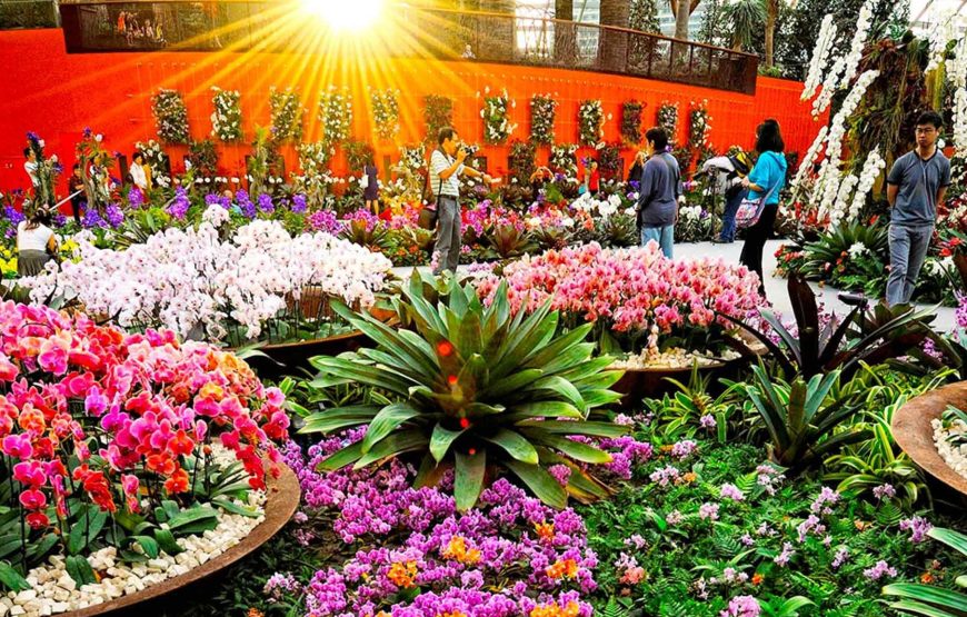 Singapore Discovery Escape (05 Nights / 06 Days)
