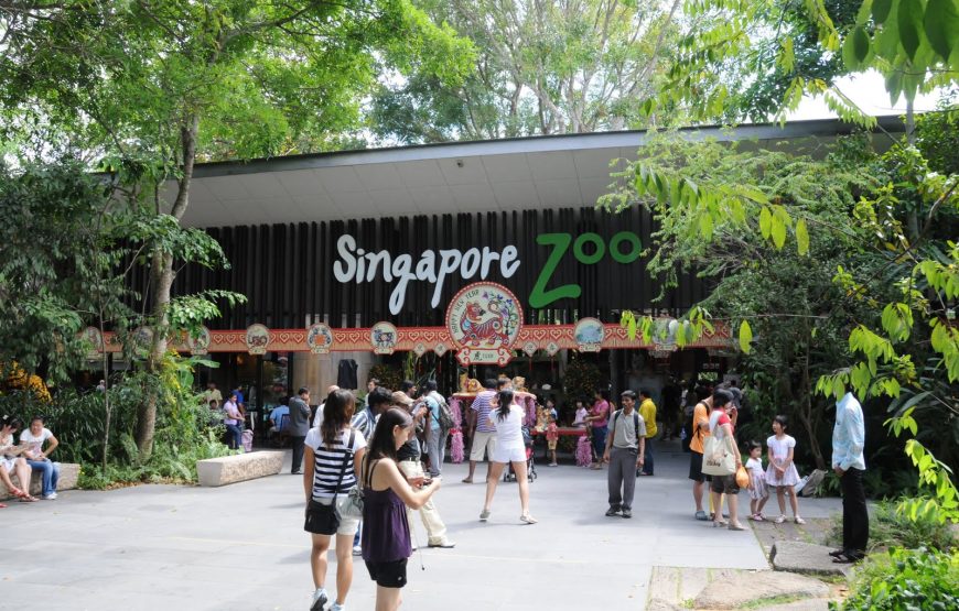 Singapore & Batam Delights