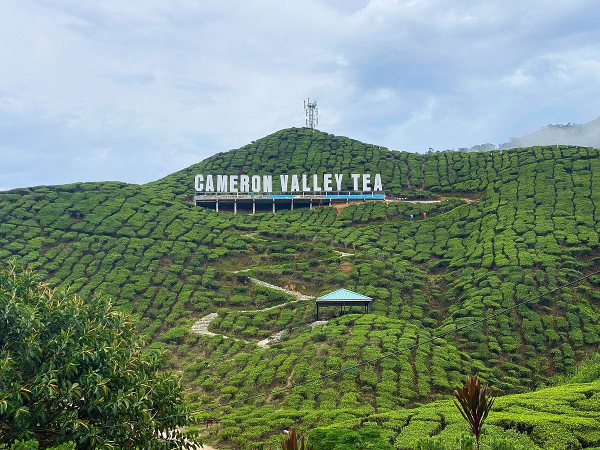 Cameron Highlands