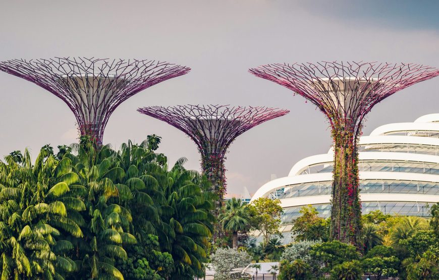 Singapore Ultimate Explorer (05 Nights / 06 Days)