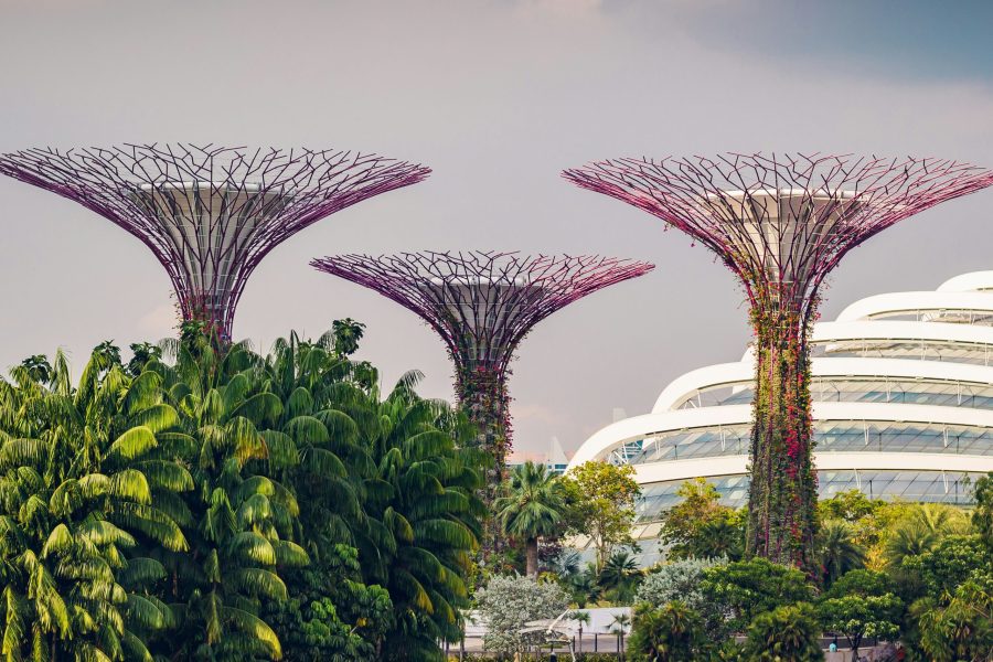 Singapore Ultimate Explorer (05 Nights / 06 Days)