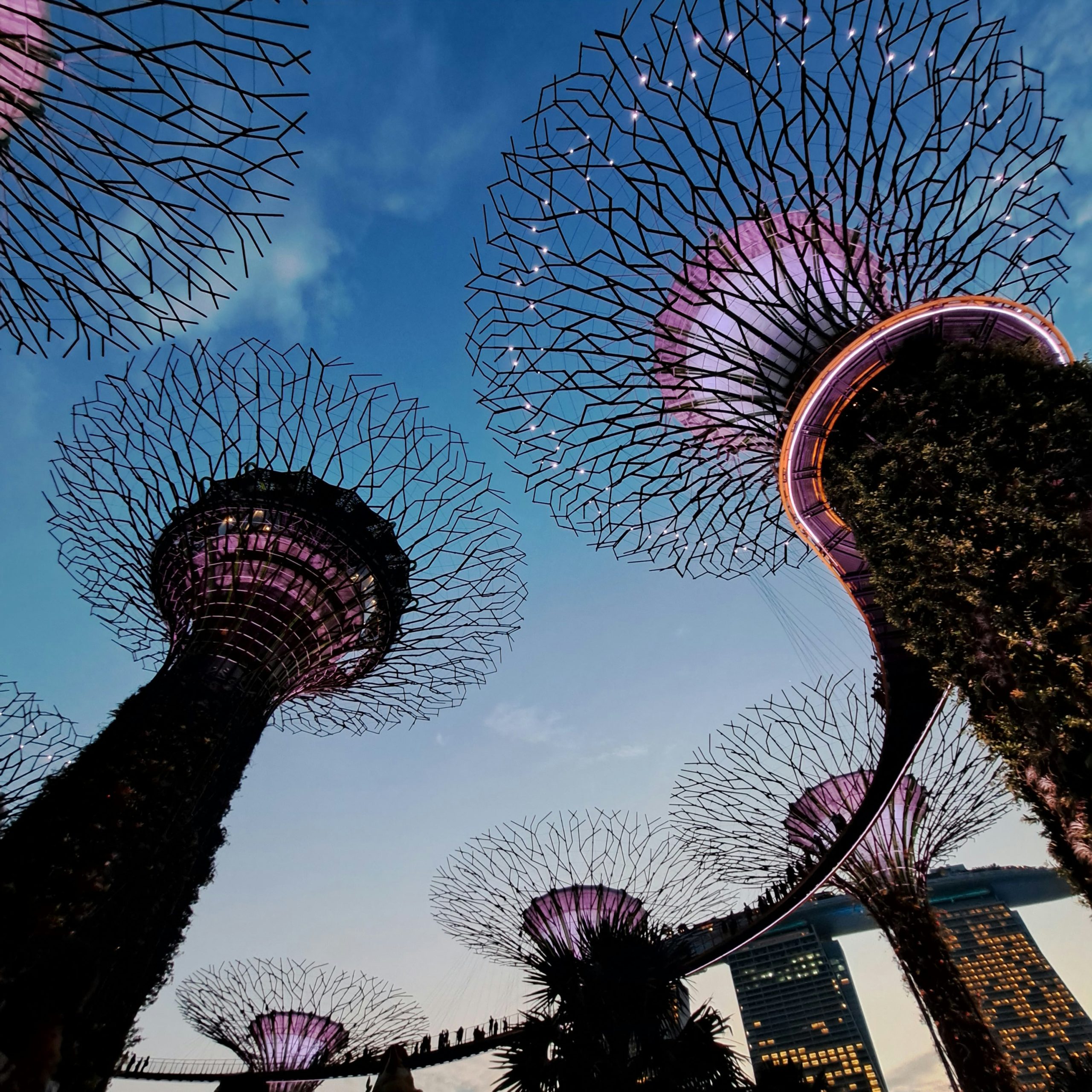Gardens By the Bay