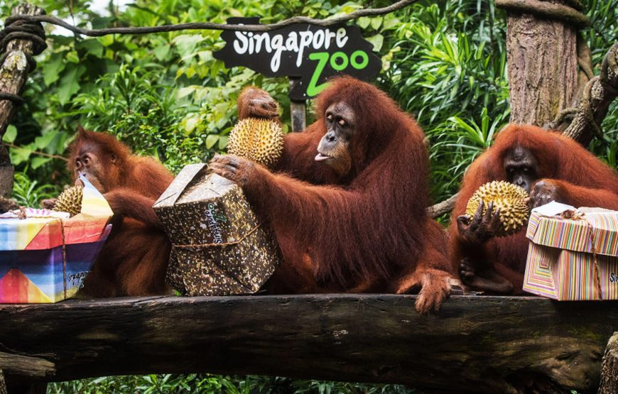 Singapore & Malaysia Grand Discovery
