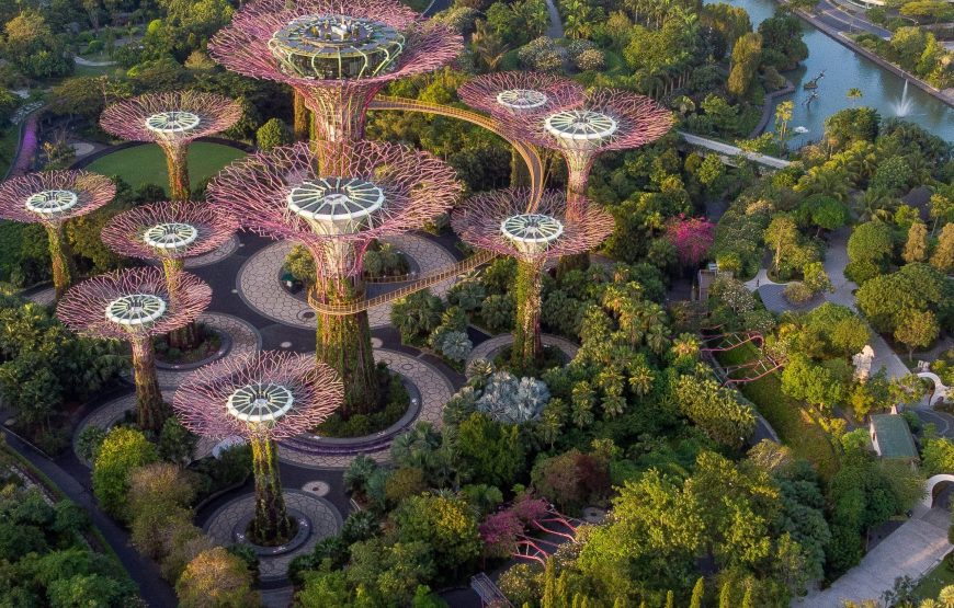 Singapore Discovery Escape (05 Nights / 06 Days)