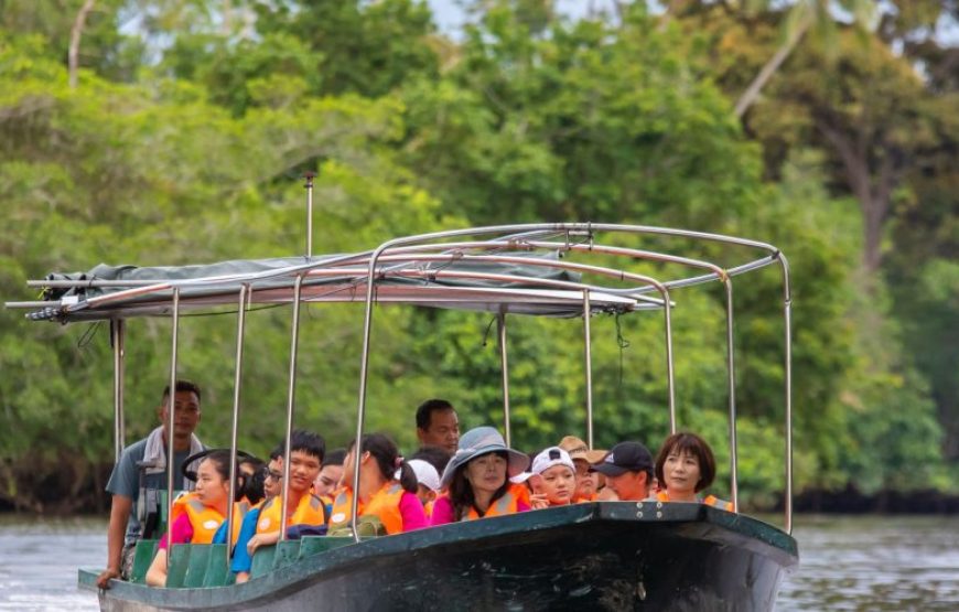 Sabah Wildlife & Adventure Escape (3N4D)