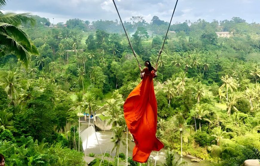 Singapore & Bali Delight