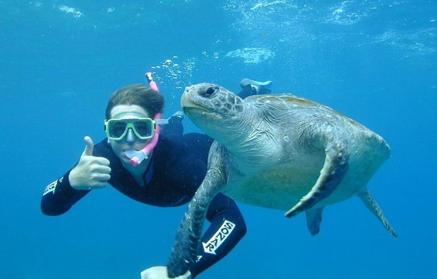 Bali & Gili Island Escape