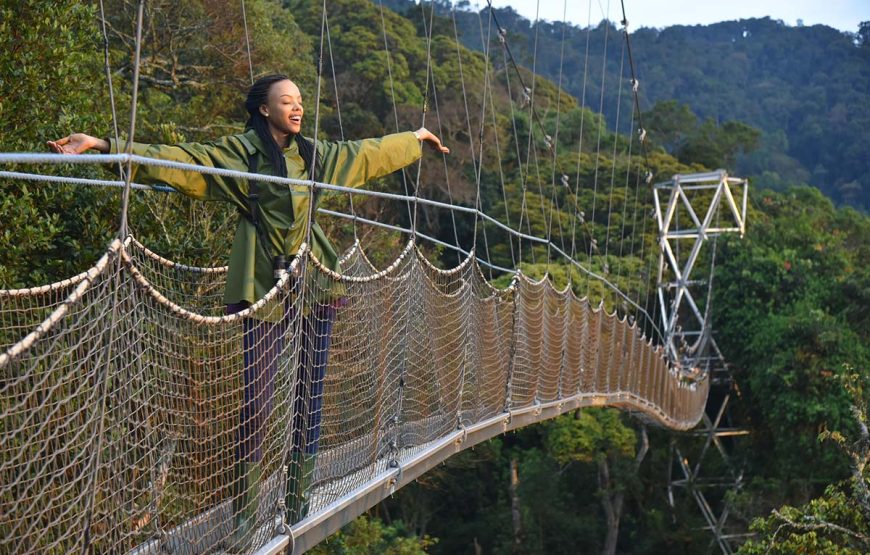 Kuala Lumpur & Taman Negara Adventure