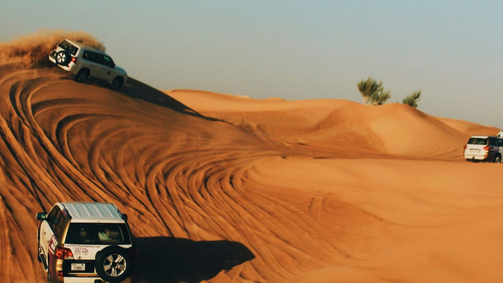 Desert Safari