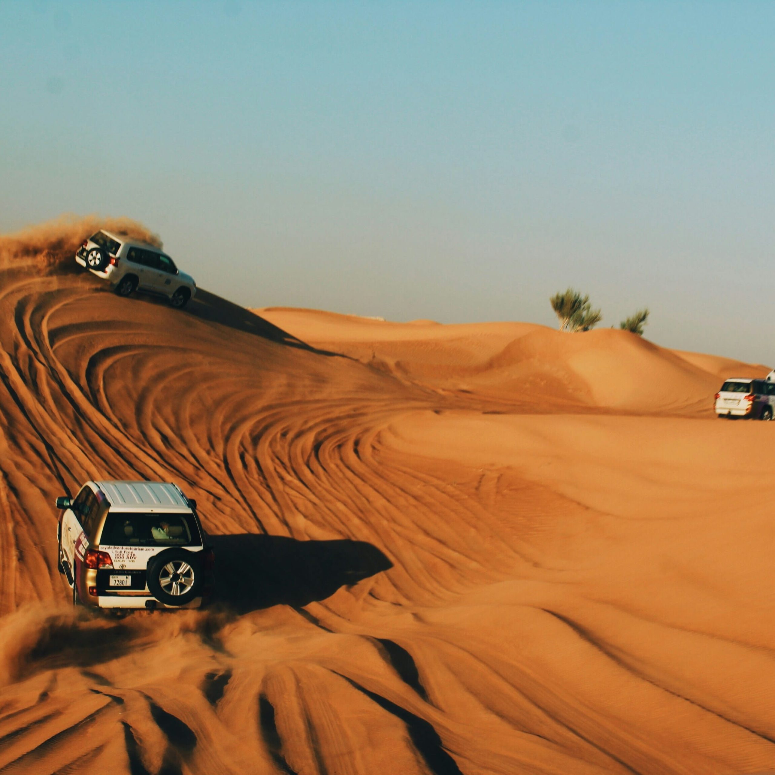 Desert Safari