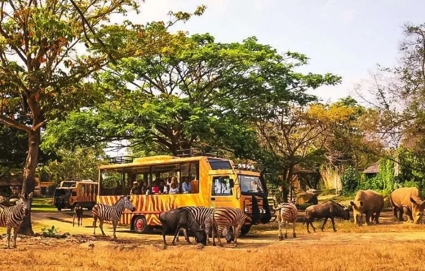 Bali Family Adventure