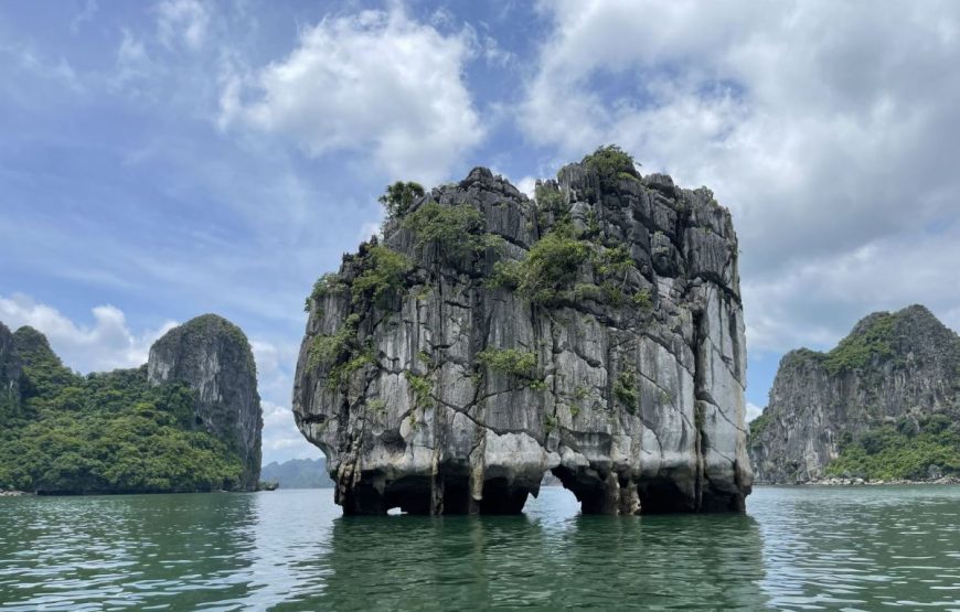 Vietnam Timeless Treasures