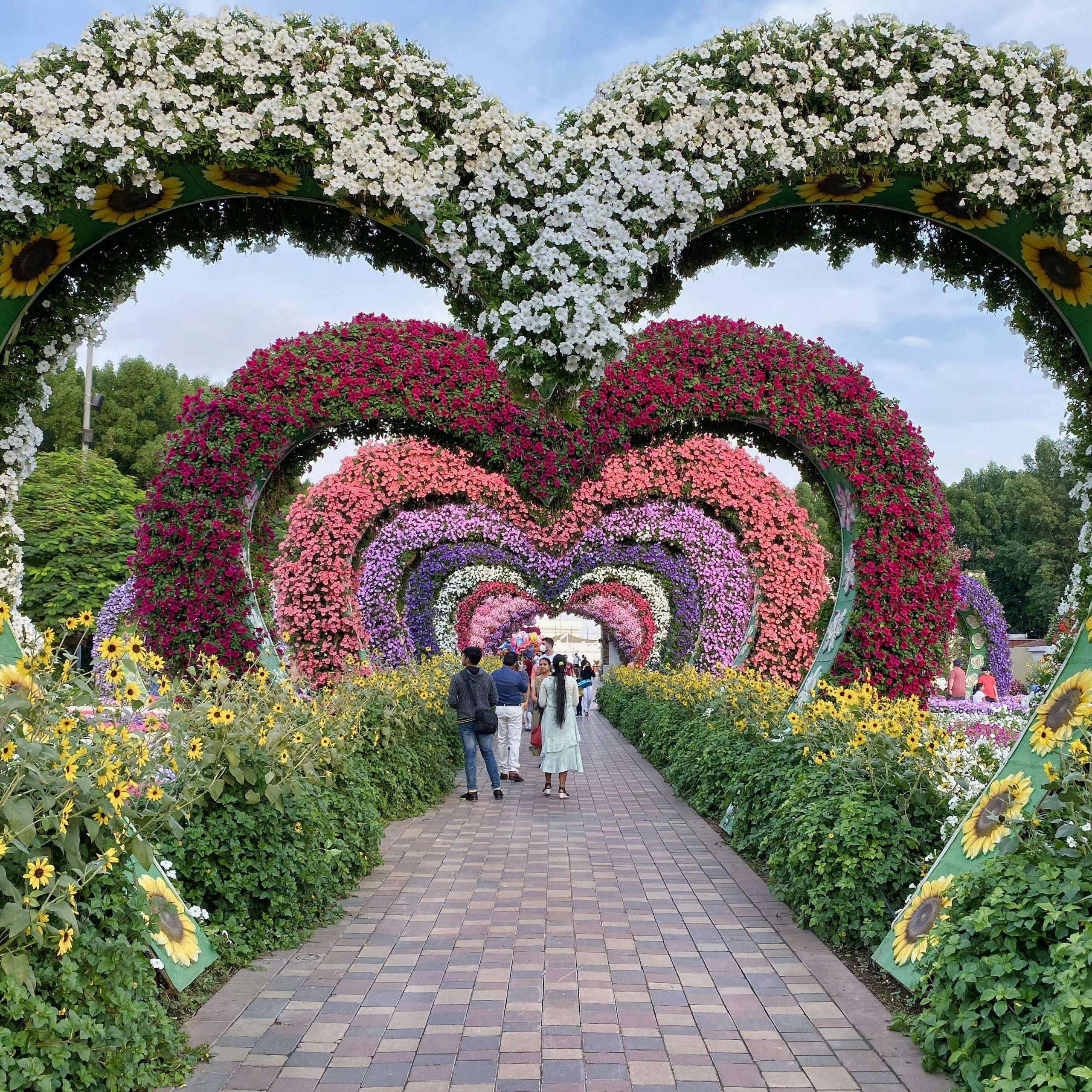 Miracle Garden
