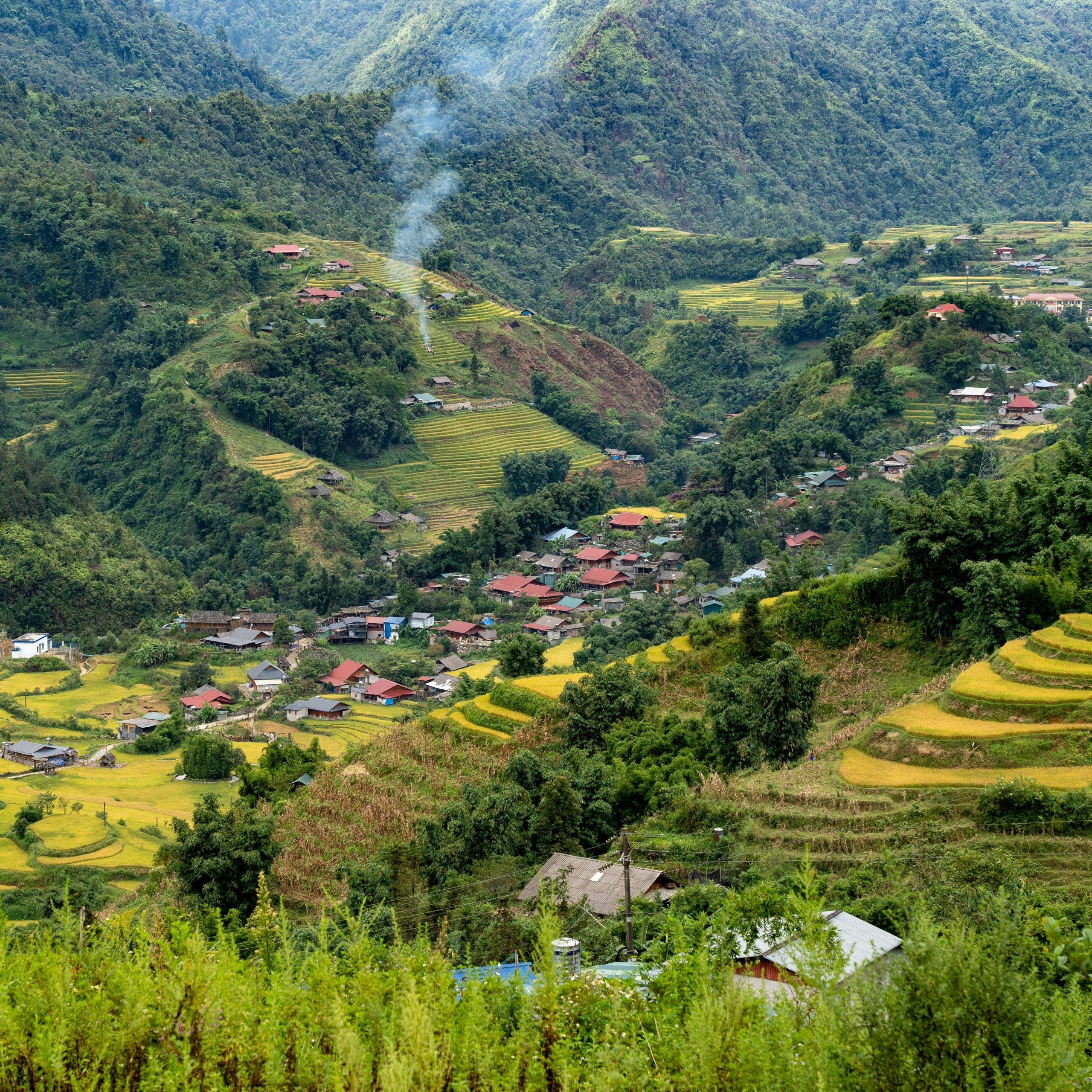 Sapa