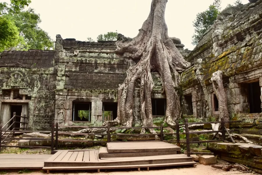 Best of Vietnam and Cambodia