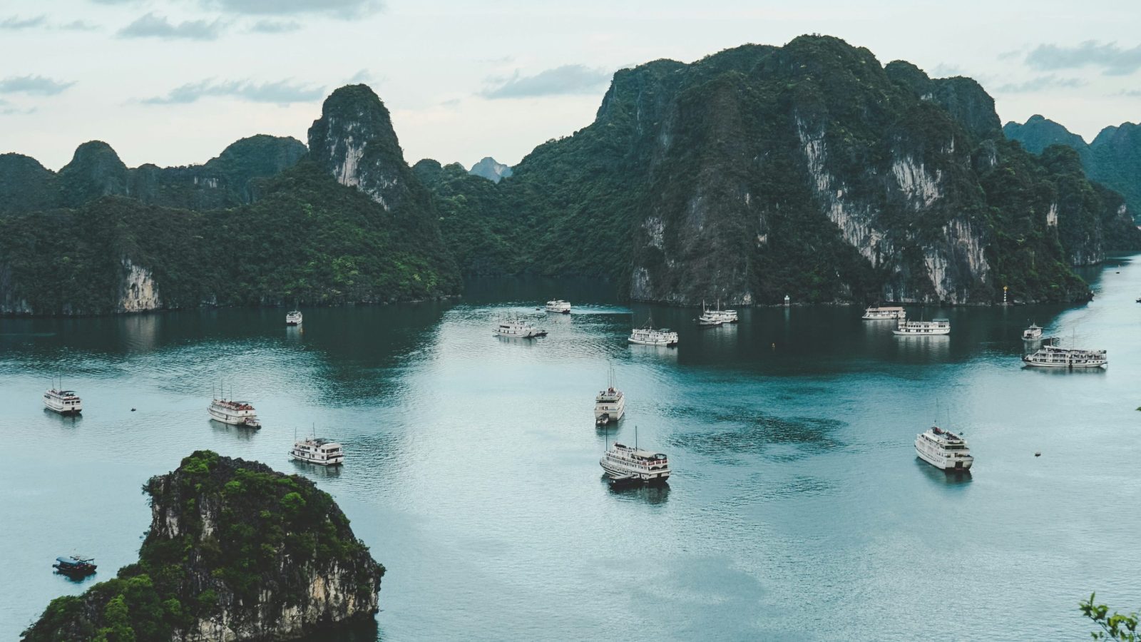 ammie-ngo-vcu-OZBxxRk-unsplash (1)
