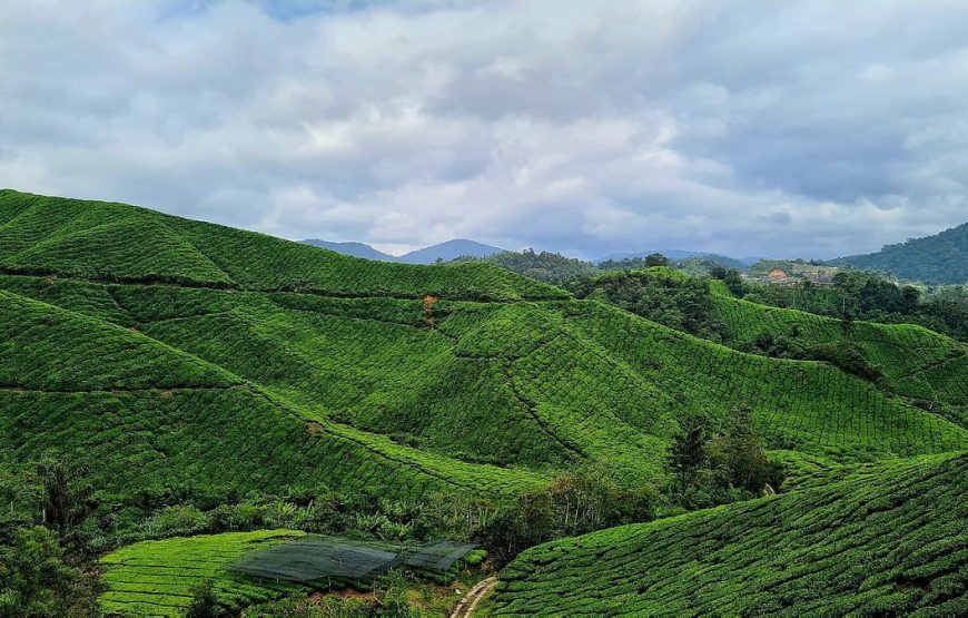 Malaysia Highlands & Island Retreat (6N7D)