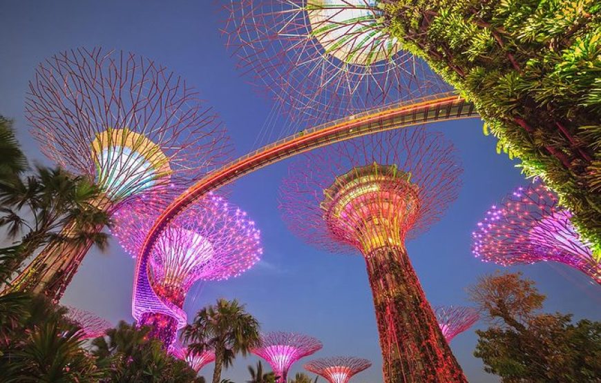 Singapore & Bali Delight
