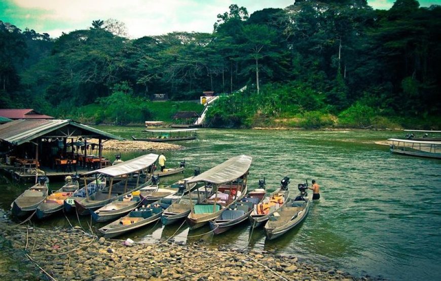 Kuala Lumpur & Taman Negara Adventure