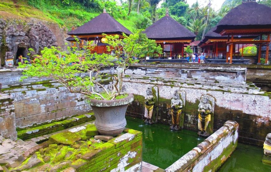 Discover Magical Bali