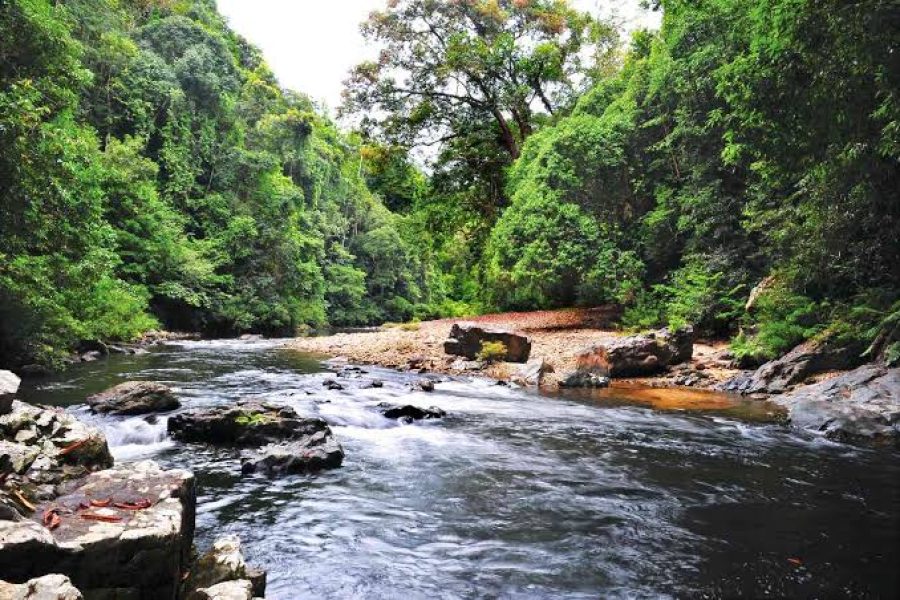 Kuala Lumpur & Taman Negara Adventure