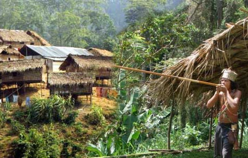 Kuala Lumpur & Taman Negara Adventure