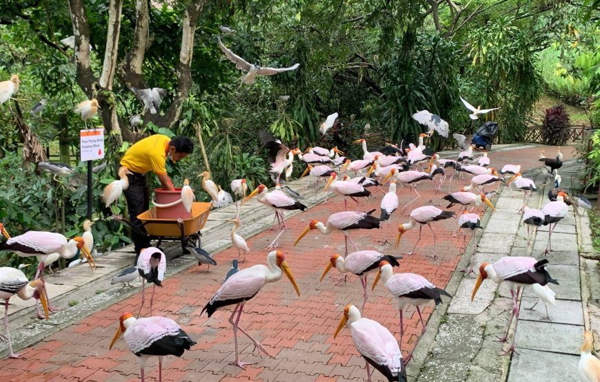 Malaysia Highlands & Island Retreat (6N7D)
