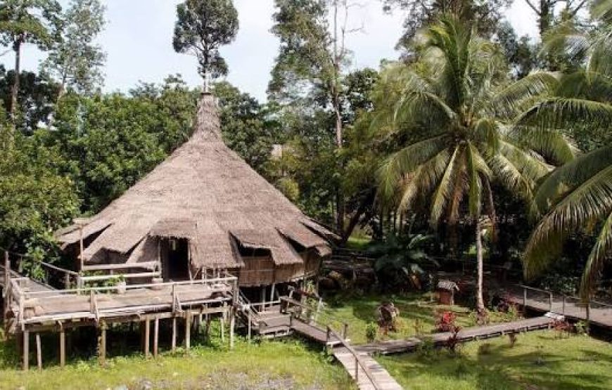 Adventurous Sarawak (3N4D)
