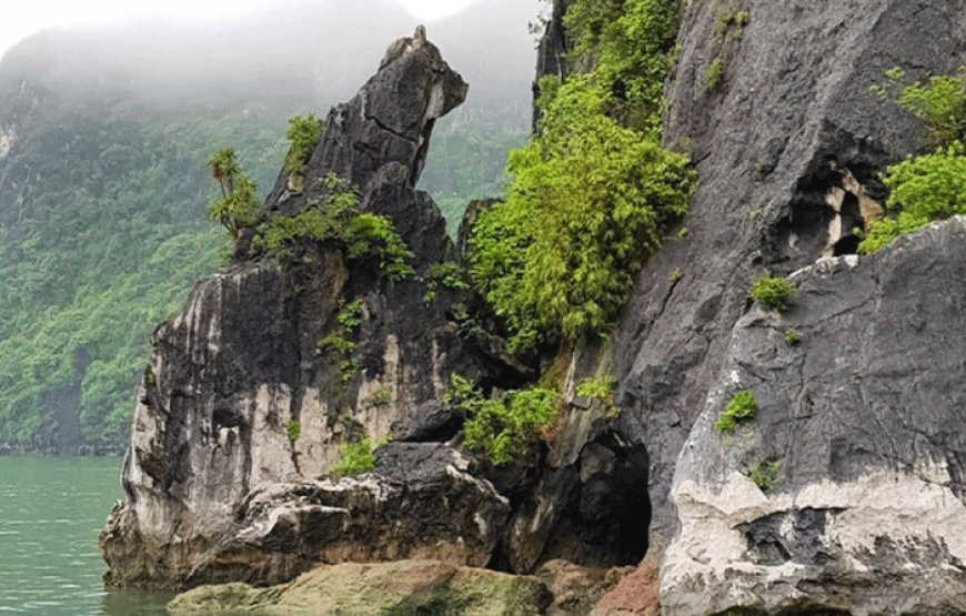 Vietnam Timeless Treasures
