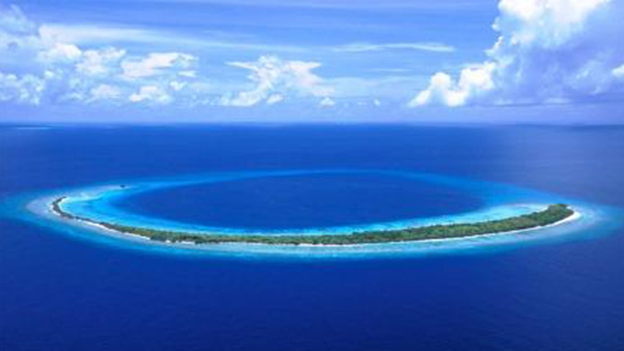 Banana Reef