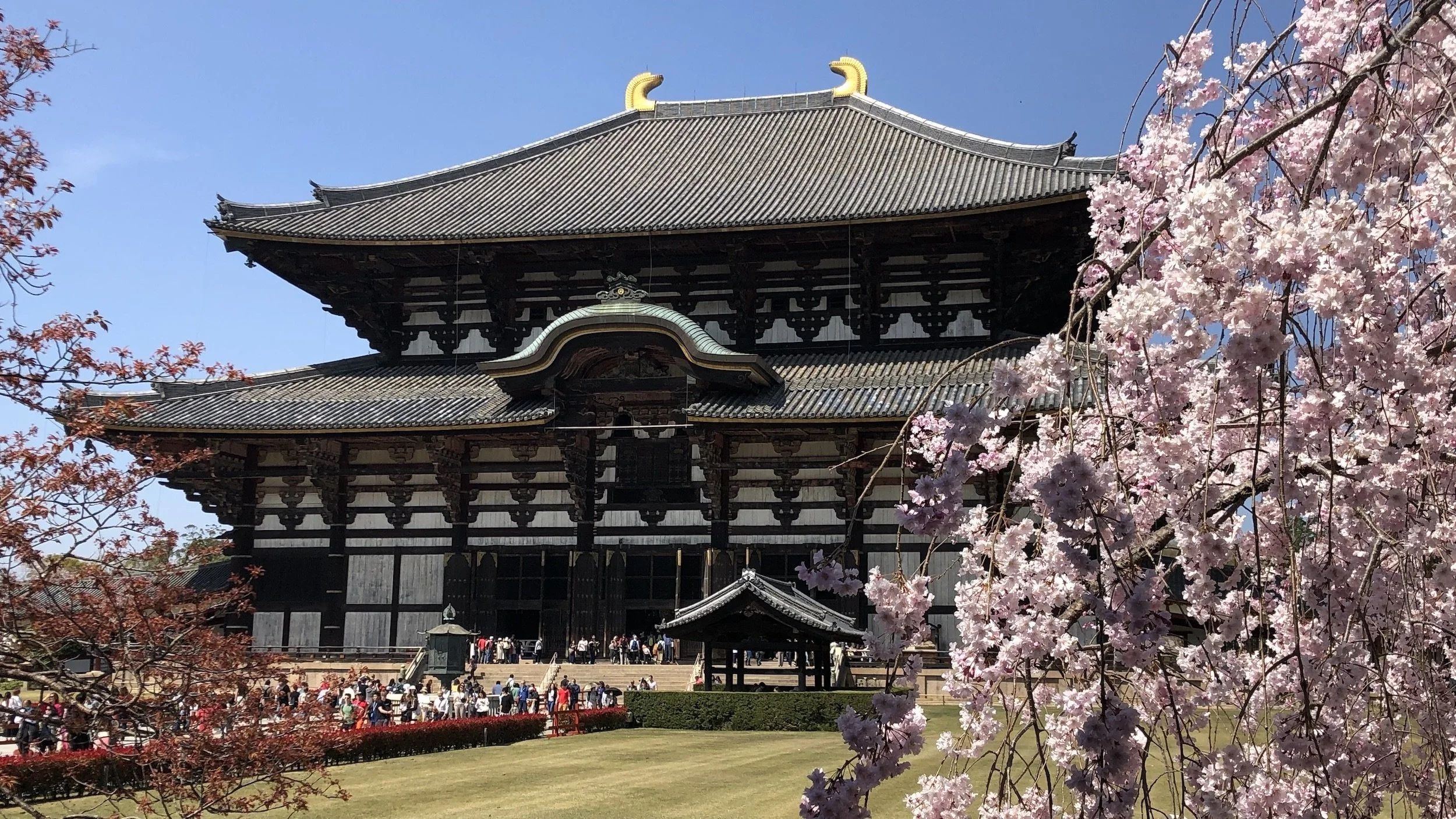 Todaiji Temple