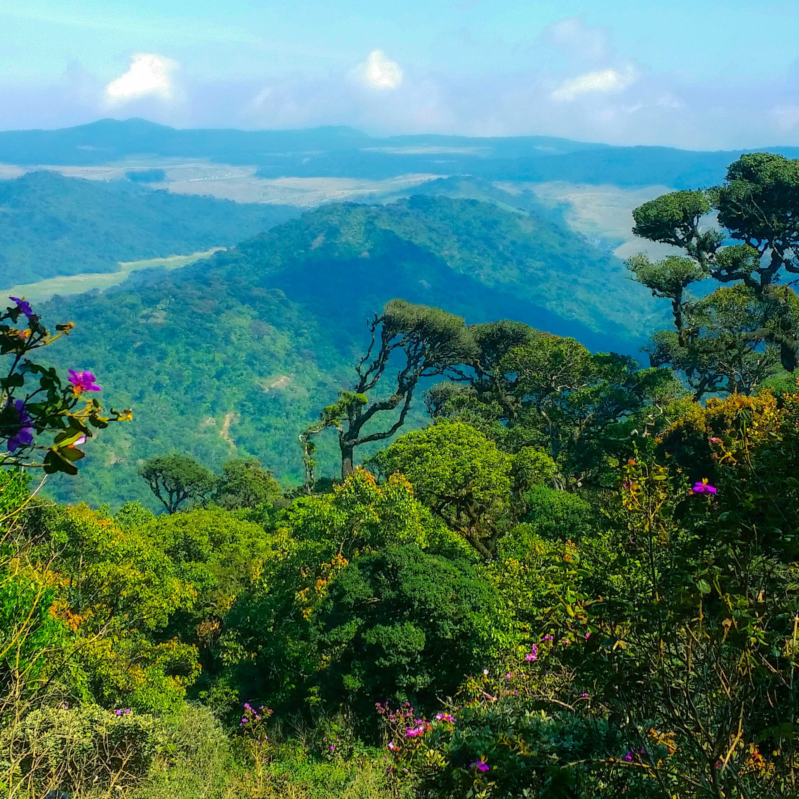 Horton Plains National Park