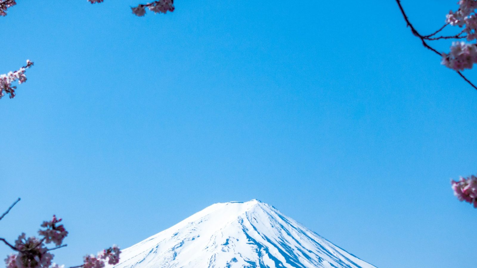 jj-ying-9Qwbfa_RM94-unsplash (1)