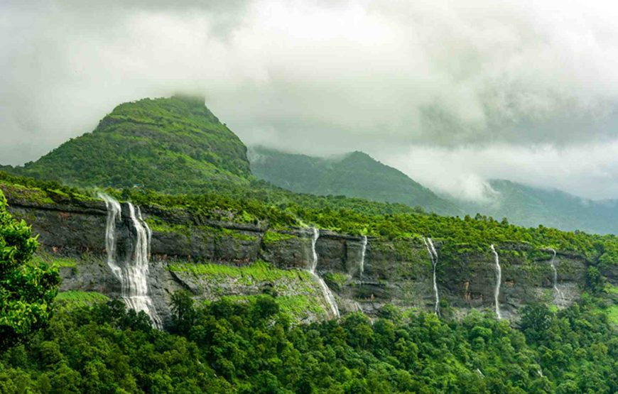Araku Coffee & Valley Discovery