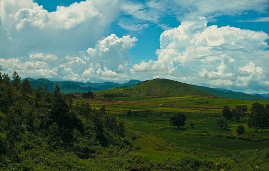 Eastern Ghats Nature Retreat