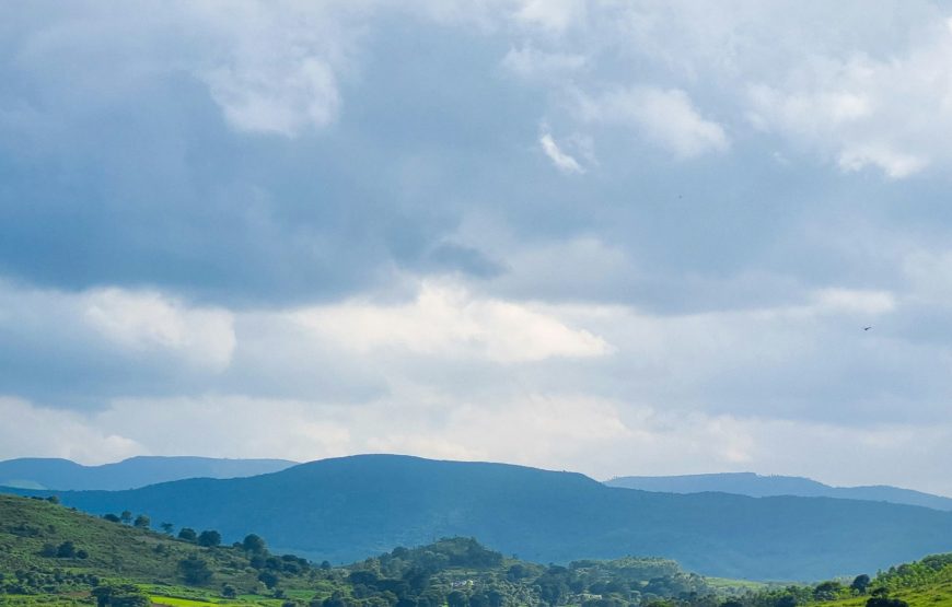 Eastern Ghats Nature Retreat